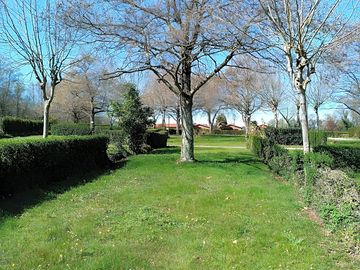 Grass pitches