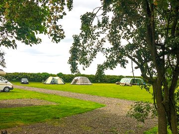 Camping at deers leap