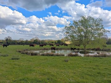 Around the site