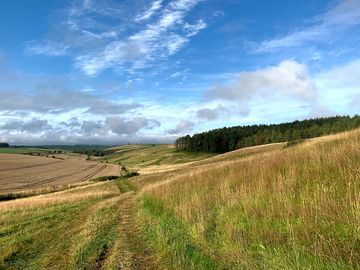 Visitor image of the hare hill