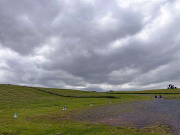 View of the site