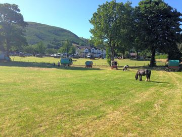 View of the site