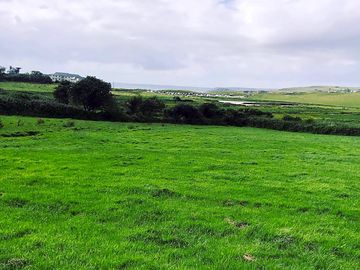 Grassy pitches