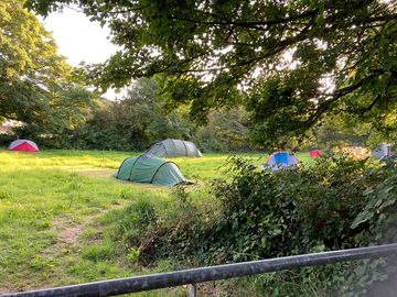 Secluded bottom field right next to estuary