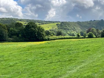 Surrey views (added by manager 28 jul 2021)