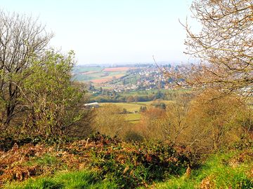View of bromyard downs