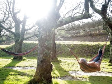 Hammocks
