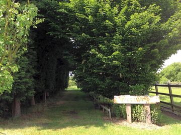 Going to the camping field