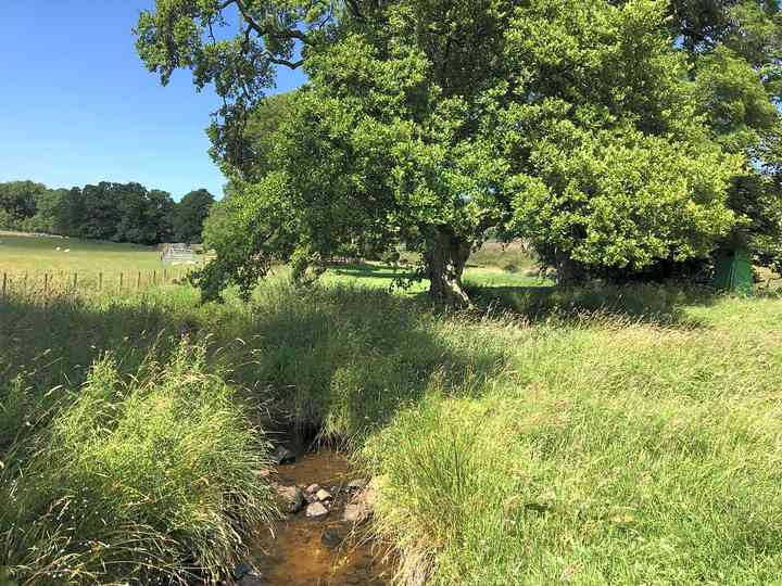 The Boe Rigg, Hexham, Northumberland - Updated 2026 prices | Pitchup.com