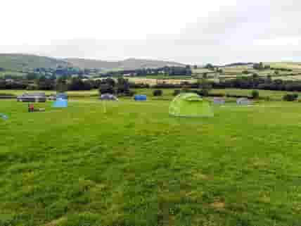 Pitches on site