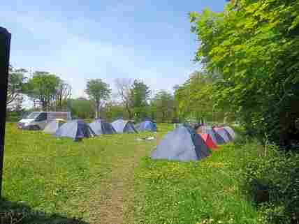 se permiten perros en el parque de la isla de duke