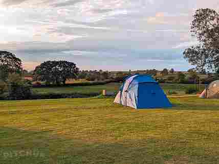 Dog friendly sale campsites near me