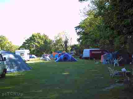 se permiten perros en el parque de la isla de duke