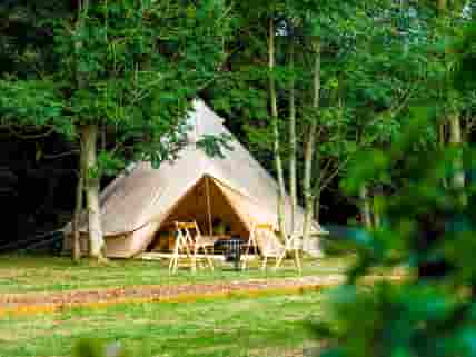 Bell tent surrounded by trees