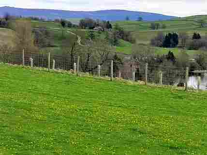 Pitchup yorkshire sale