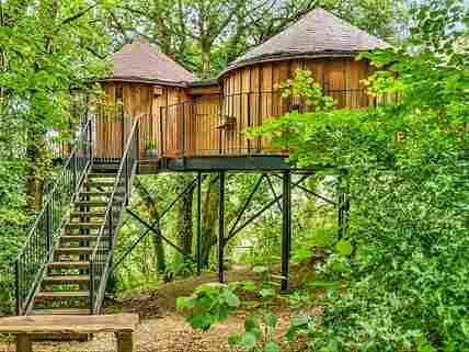 Treehouse exterior with steps to the entrance