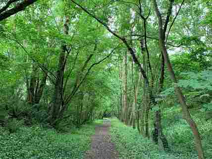 Campsites with fires allowed in Paulton Somerset from 10