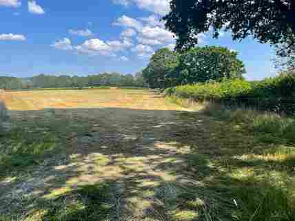 Forest camping clearance near me