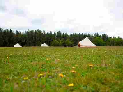 Bell tents in the fields (added by manager 01 Aug 2022)