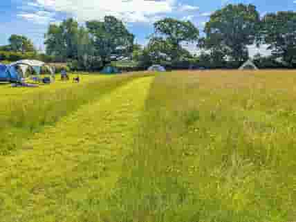 Visitor image of the meadow in early June (added by manager 16 Sep 2022)