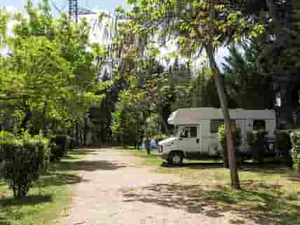 Motorhome pitches shaded by trees