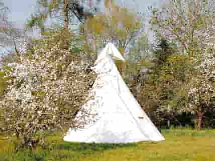 Tipi between the trees