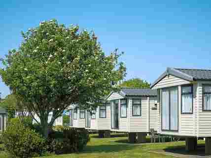 Dog friendly caravan shop holidays