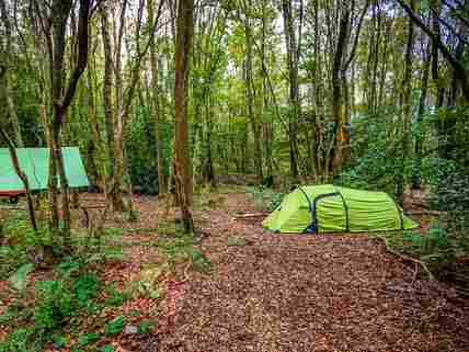 Tent and hammock on one woodland pitch