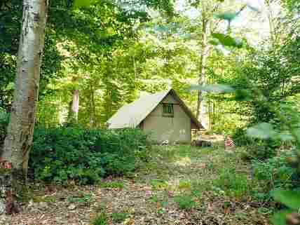 La tente lodge est située dans un bois, réveil mélodieux grâce aux oiseaux