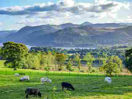 Pitchup cheap lake district