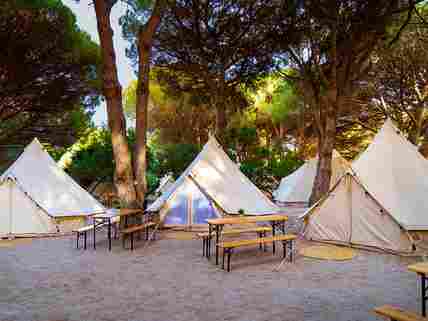 Bell tents under the trees
