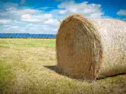 Hay baling in the solar park