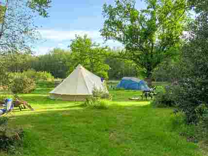 Campsites in the shop new forest with electric