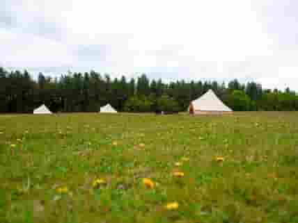 Bell tents in the fields