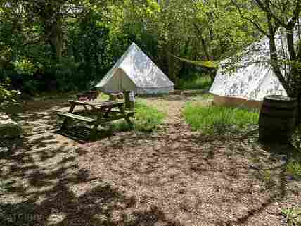 Forest campsites deals near me