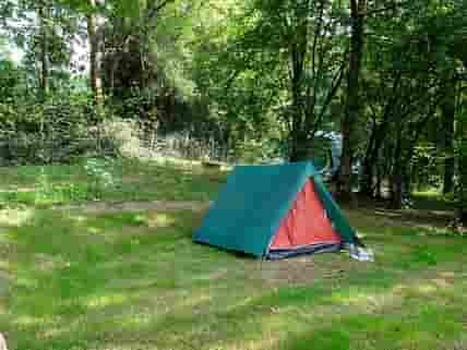 My tent at Pantybarcud, July 2021