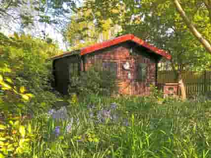 Sage cabin garden area