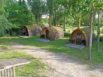 Glamping pods shaded by trees