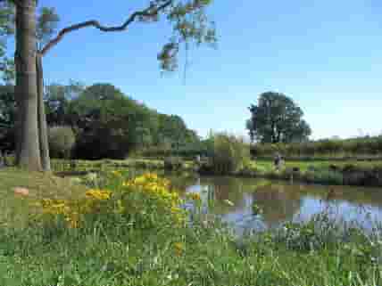Woodland pool for coarse fishing (added by manager 06 Mar 2012)