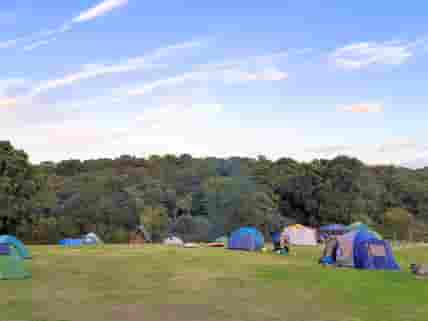 Tents in Camping Corner