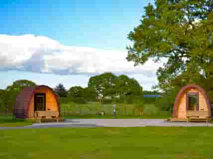 Camping pods under the trees