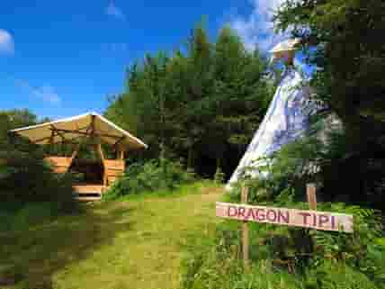 Dragon Tipi surrounded by nature