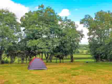 Campsite field