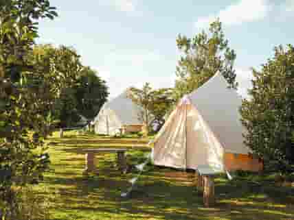Bell tents in the fruit garden