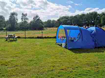 Family-Sized / Small Campervan Pitches