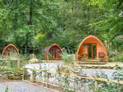 Camping pods on site