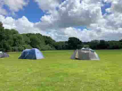 Spacious grass pitches, 6 pitches in 3 acres