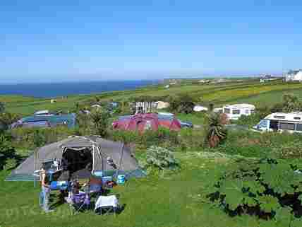 Henry s Campsite Helston Cornwall Pitchup