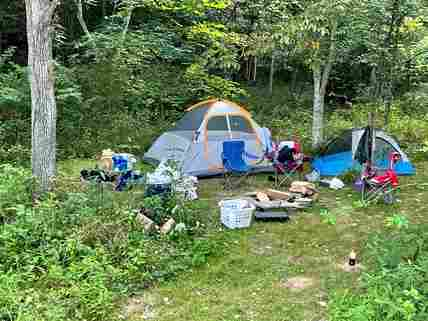 Woodland forest site by large pond