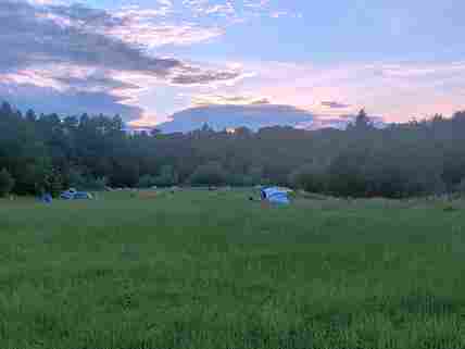 Peaceful campsite in Dalkeith, looking down the site towards the river